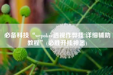 必备科技“wepoker透视作弊挂!详细辅助教程”(必胜开挂神器)