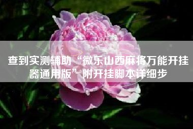 查到实测辅助“微乐山西麻将万能开挂器通用版”附开挂脚本详细步