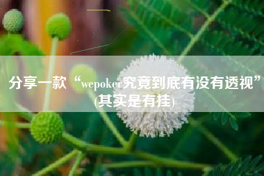 分享一款“wepoker究竟到底有没有透视”(其实是有挂)