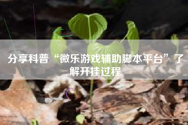 分享科普“微乐游戏辅助脚本平台	”了解开挂过程