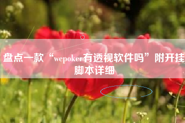 盘点一款“wepoker有透视软件吗”附开挂脚本详细
