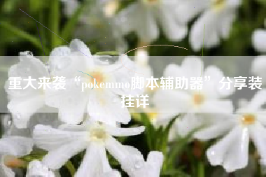 重大来袭“pokemmo脚本辅助器”分享装挂详 重大来袭“pokemmo脚本辅助器”分享装挂详