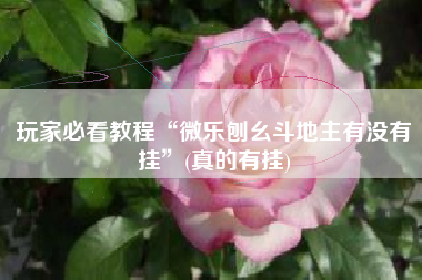 玩家必看教程“微乐刨幺斗地主有没有挂”(真的有挂)