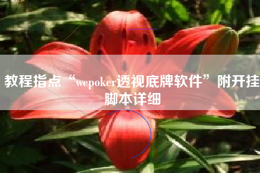 教程指点“wepoker透视底牌软件”附开挂脚本详细
