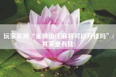 玩家实测“雀神山庄麻将可以开挂吗”(其实是有挂)