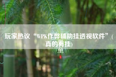 玩家热议“WPK作弊辅助挂透视软件”(真的有挂) 玩家热议“WPK作弊辅助挂透视软件”(真的有挂)