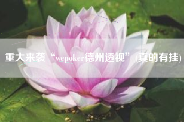 重大来袭“wepoker德州透视”(真的有挂)
