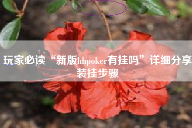 玩家必读“新版hhpoker有挂吗”详细分享装挂步骤