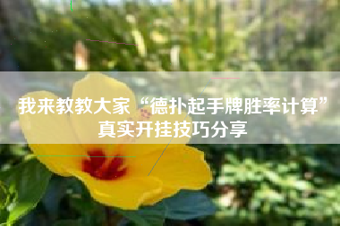 我来教教大家“德扑起手牌胜率计算”真实开挂技巧分享