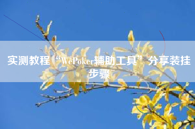 实测教程“WePoker辅助工具	”分享装挂步骤