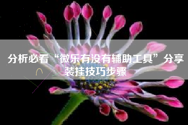 分析必看“微乐有没有辅助工具”分享装挂技巧步骤
