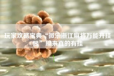 玩家攻略宝典“微乐浙江麻将万能开挂器”原来真的有挂