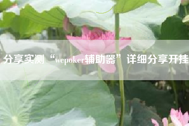 分享实测“wepoker辅助器”详细分享开挂