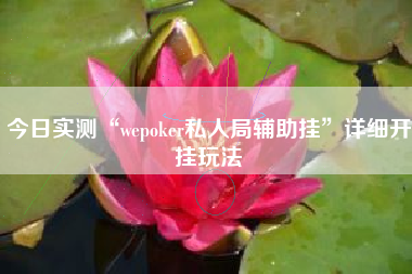 今日实测“wepoker私人局辅助挂”详细开挂玩法