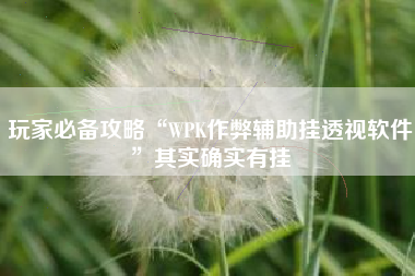 玩家必备攻略“WPK作弊辅助挂透视软件	”其实确实有挂
