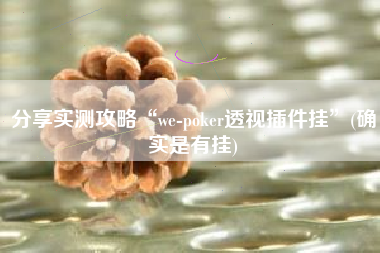 分享实测攻略“we-poker透视插件挂	”(确实是有挂)
