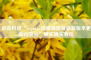 必备科技“wepoker透视辅助器最新版本更新内容分”其实确实有挂