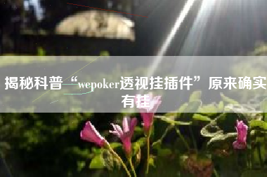 揭秘科普“wepoker透视挂插件”原来确实有挂