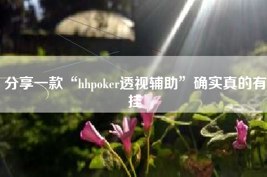 分享一款“hhpoker透视辅助”确实真的有挂