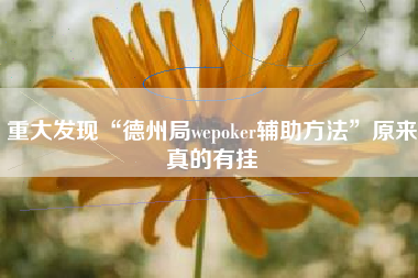 重大发现“德州局wepoker辅助方法”原来真的有挂