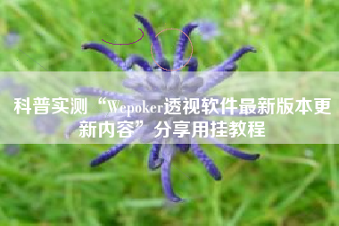 科普实测“Wepoker透视软件最新版本更新内容”分享用挂教程