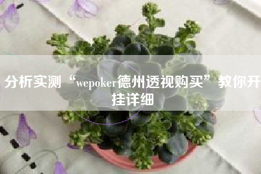 分析实测“wepoker德州透视购买	”教你开挂详细