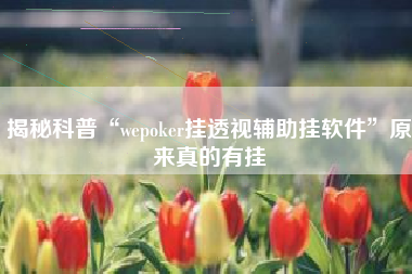 揭秘科普“wepoker挂透视辅助挂软件”原来真的有挂