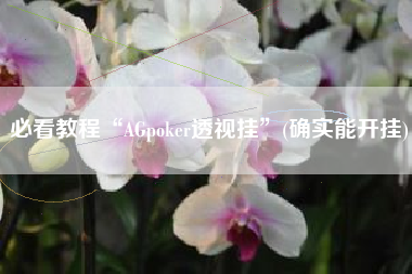 必看教程“AGpoker透视挂	”(确实能开挂)