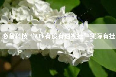 必备科技“WPK有没有透视挂”实际有挂