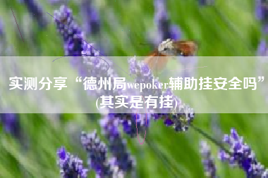 实测分享“德州局wepoker辅助挂安全吗”(其实是有挂)