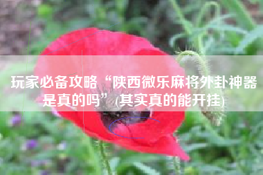 玩家必备攻略“陕西微乐麻将外卦神器是真的吗	”(其实真的能开挂)