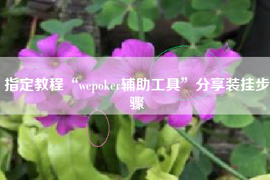 指定教程“wepoker辅助工具”分享装挂步骤