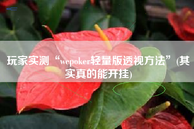 玩家实测“wepoker轻量版透视方法”(其实真的能开挂)