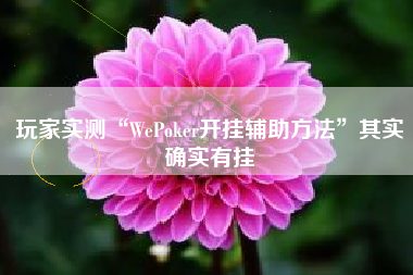 玩家实测“WePoker开挂辅助方法	”其实确实有挂