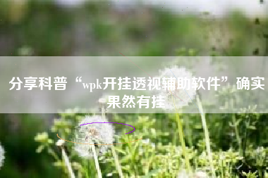 分享科普“wpk开挂透视辅助软件”确实果然有挂