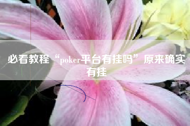 必看教程“poker平台有挂吗”原来确实有挂