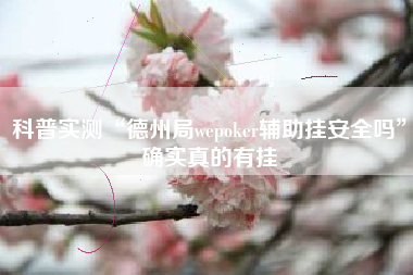 科普实测“德州局wepoker辅助挂安全吗	”确实真的有挂