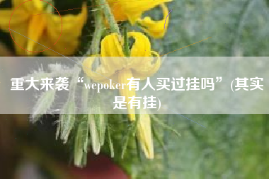 重大来袭“wepoker有人买过挂吗”(其实是有挂)