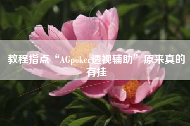 教程指点“AGpoker透视辅助”原来真的有挂