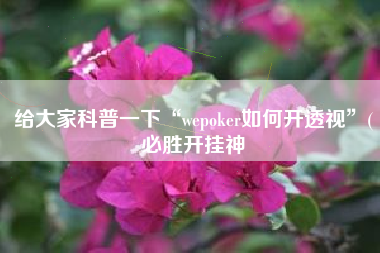 给大家科普一下“wepoker如何开透视”(必胜开挂神