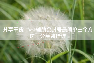 分享干货“wpk辅助会封号最简单三个方法”分享装挂详