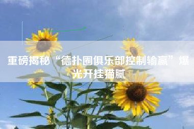 重磅揭秘“德扑圈俱乐部控制输赢”爆光开挂猫腻