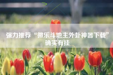 强力推荐“微乐斗地主外卦神器下载”确实有挂 强力推荐“微乐斗地主外卦神器下载”确实有挂