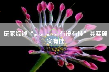 玩家综述“pokermaster有没有挂	”其实确实有挂