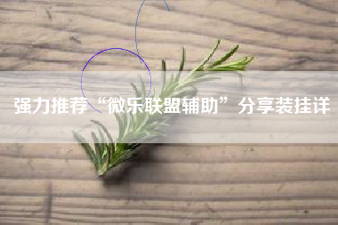 强力推荐“微乐联盟辅助	”分享装挂详
