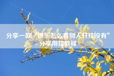 分享一款“微乐怎么看别人开挂没有	”分享用挂教程