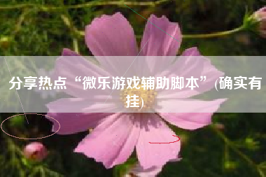 分享热点“微乐游戏辅助脚本”(确实有挂)