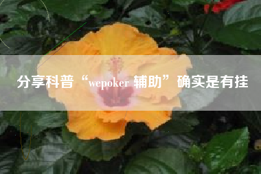 分享科普“wepoker 辅助”确实是有挂