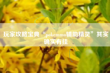 玩家攻略宝典“pokemmo辅助精灵	”其实确实有挂