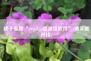 终于呈现“wepoker透视挂软件	”(确实能开挂)